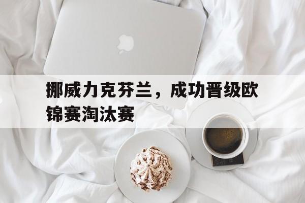 挪威力克芬兰，成功晋级欧锦赛淘汰赛